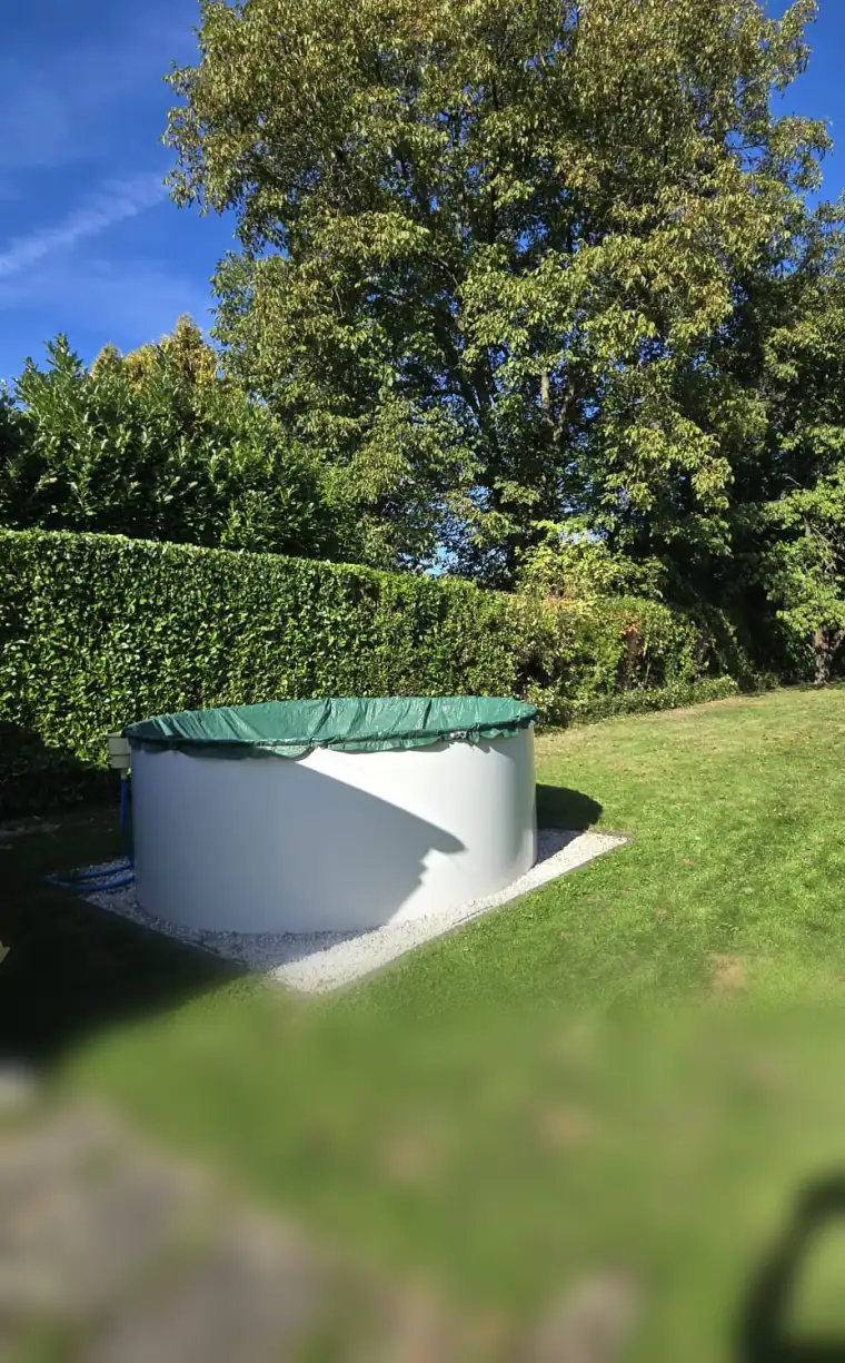 Garten mit frisch gemähtem Rasen, Hecke und großem Laubbaum